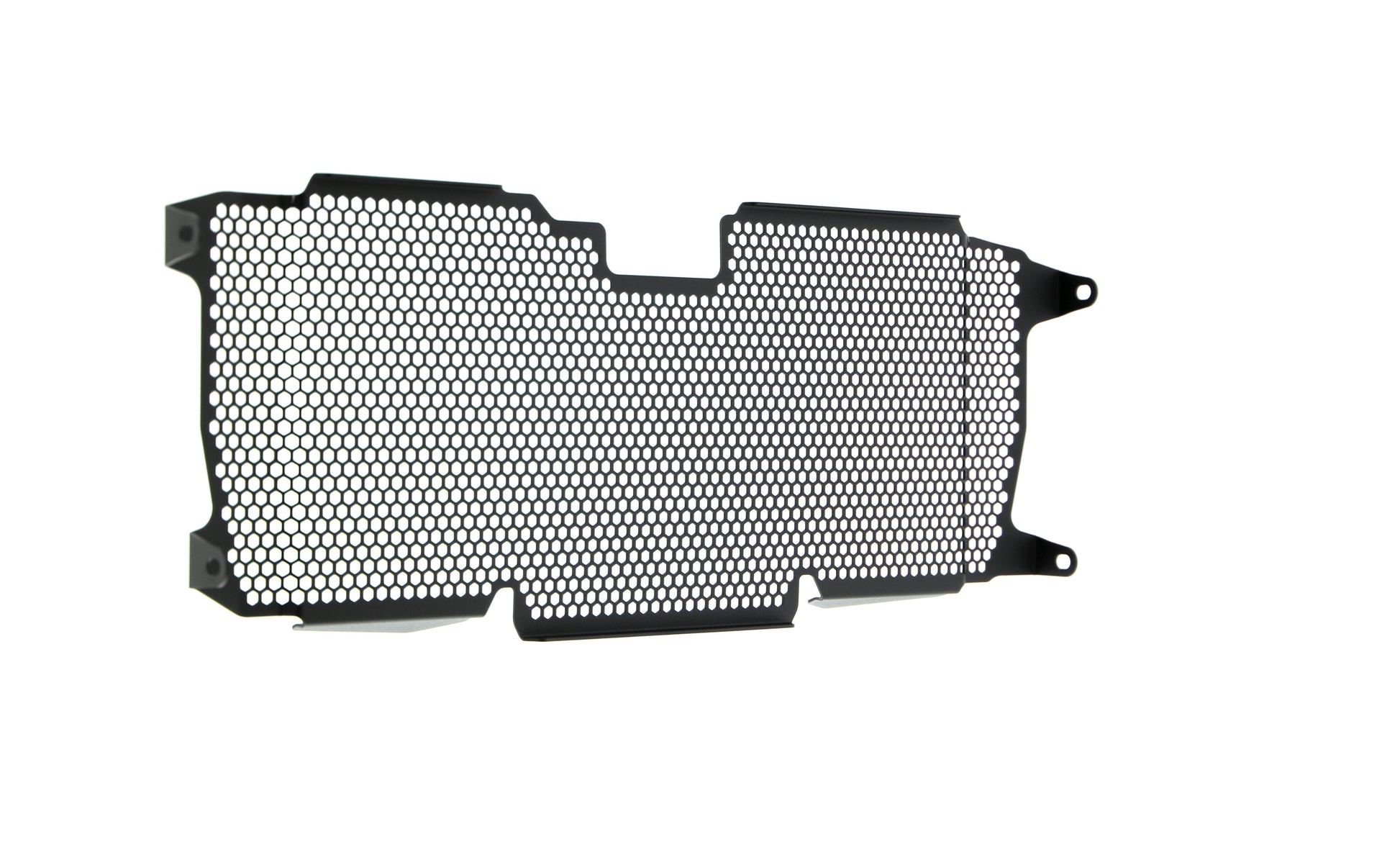 Evotech BMW R 1200 R Radiatorcover 2015 - 2018