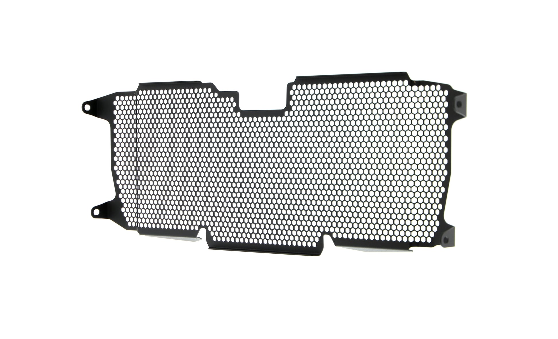 Evotech BMW R 1250 R Sport Radiatorcover (2019+)