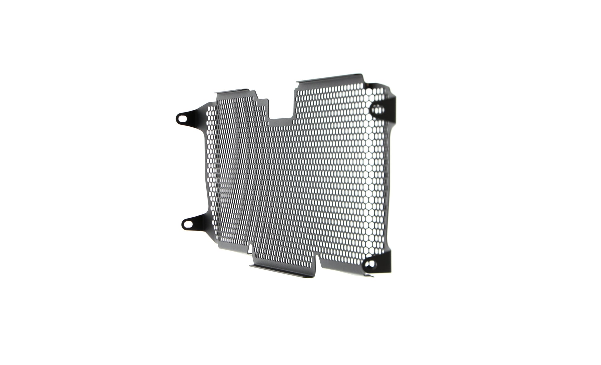 Evotech BMW R 1250 RS Radiatorcover (2019+)