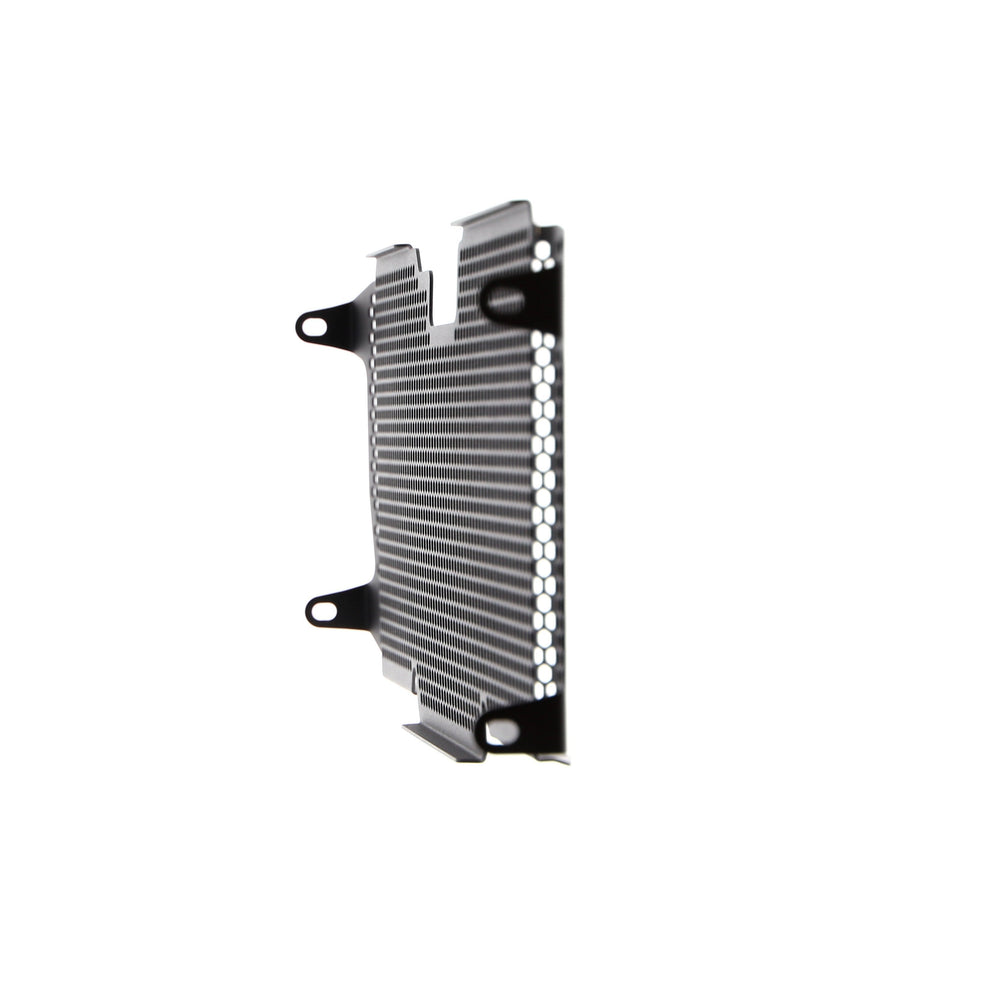 
                  
                    Evotech BMW R 1250 R Radiator Guard (2019+)
                  
                