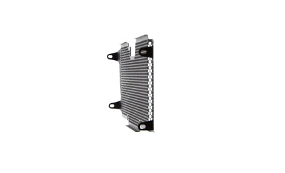 Evotech BMW R 1250 RS Radiatorcover (2019+)