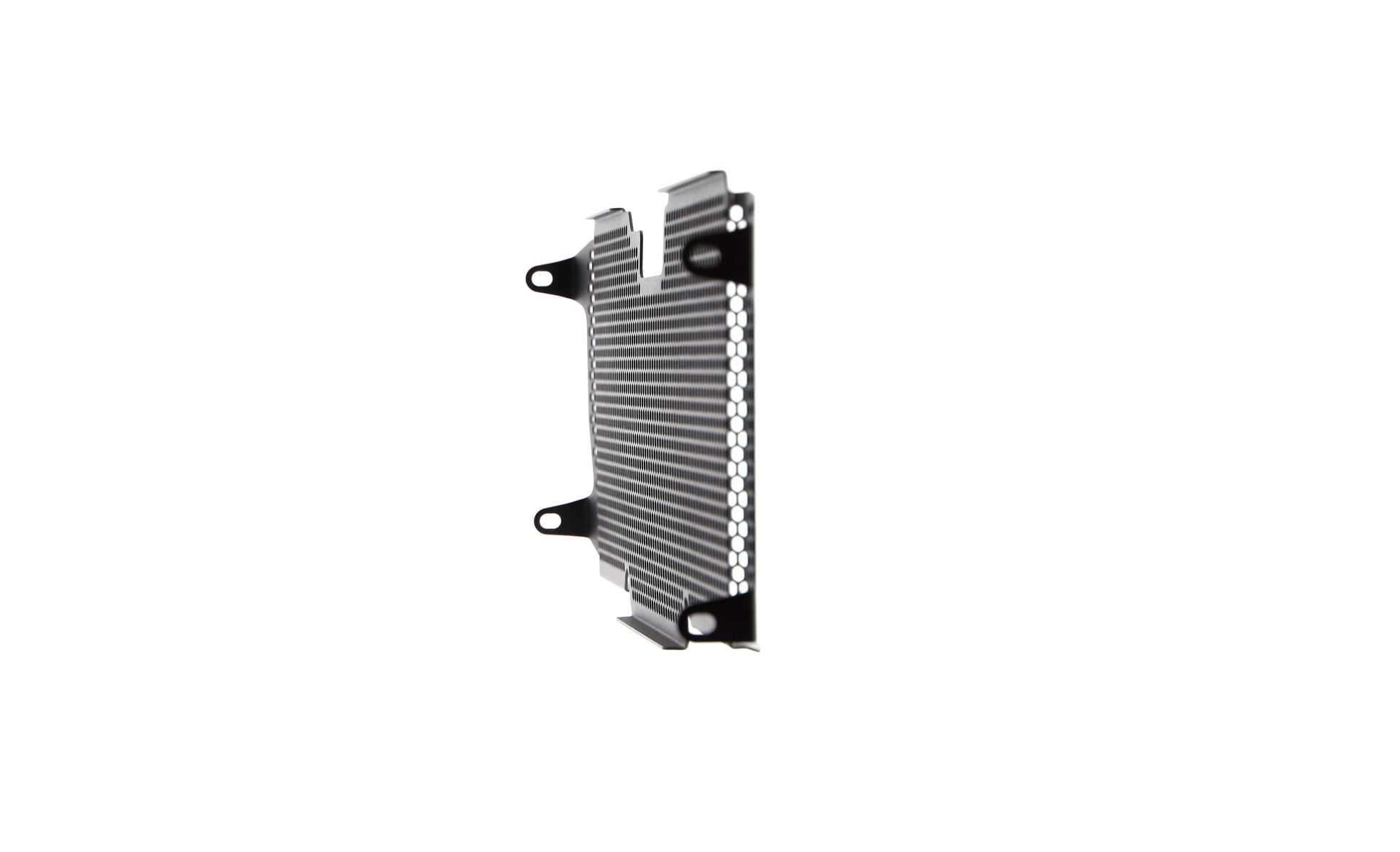 Evotech BMW R 1250 R Exclusive Radiatorcover 2019+