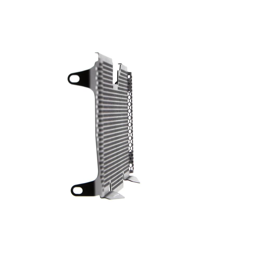 
                  
                    Evotech BMW R 1200 R Radiator Guard 2015 - 2018
                  
                