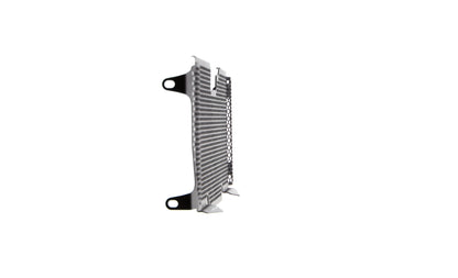 Evotech BMW R 1250 R Sport Radiatorcover (2019+)