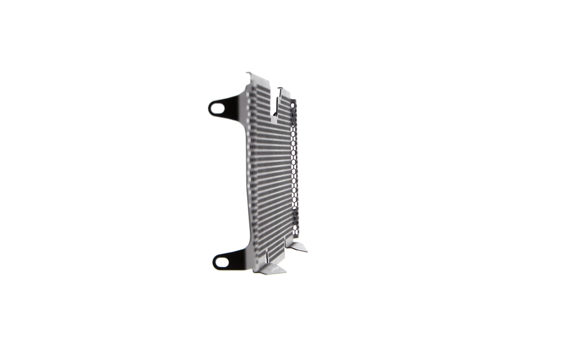 Evotech BMW R 1250 RS Radiatorcover (2019+)