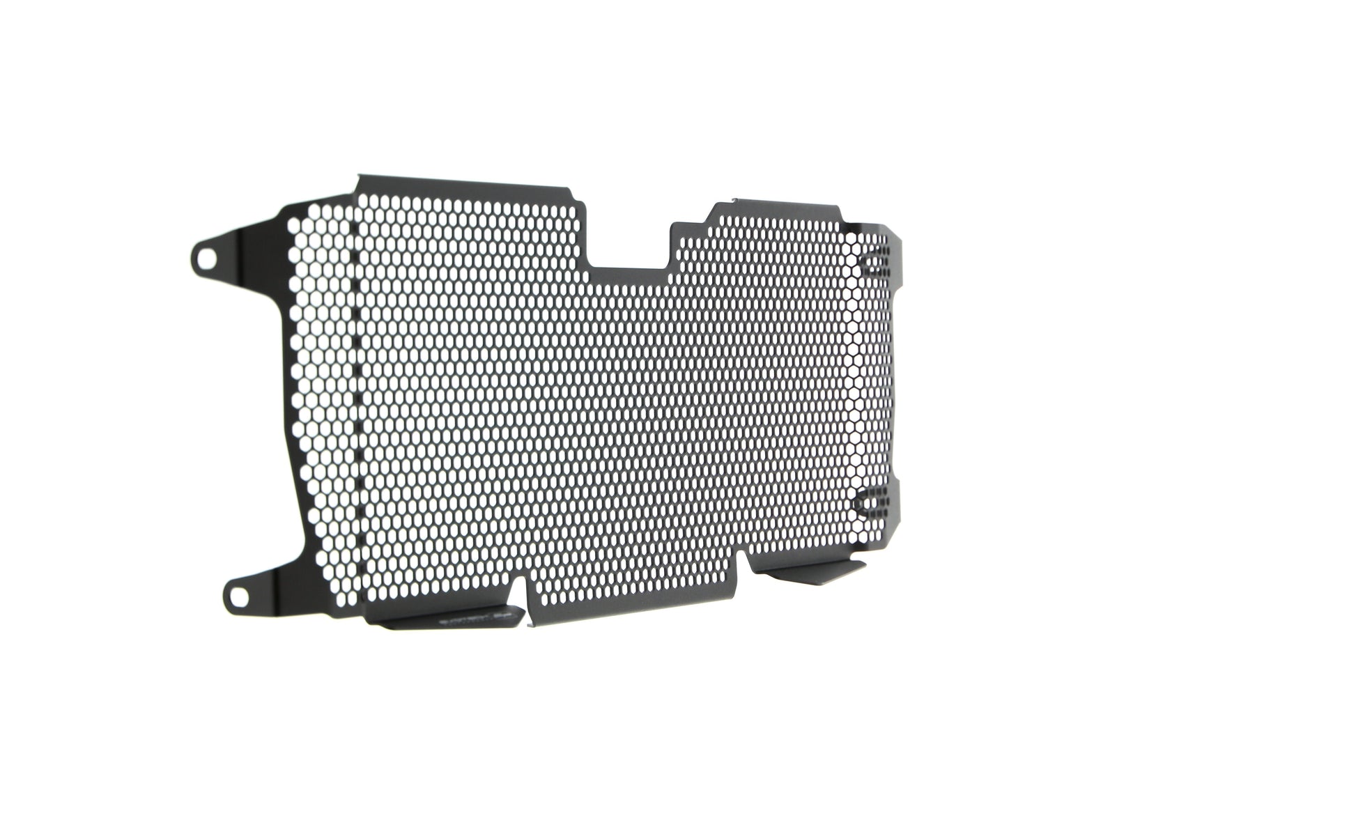 Evotech BMW R 1250 R Radiatorcover (2019+)