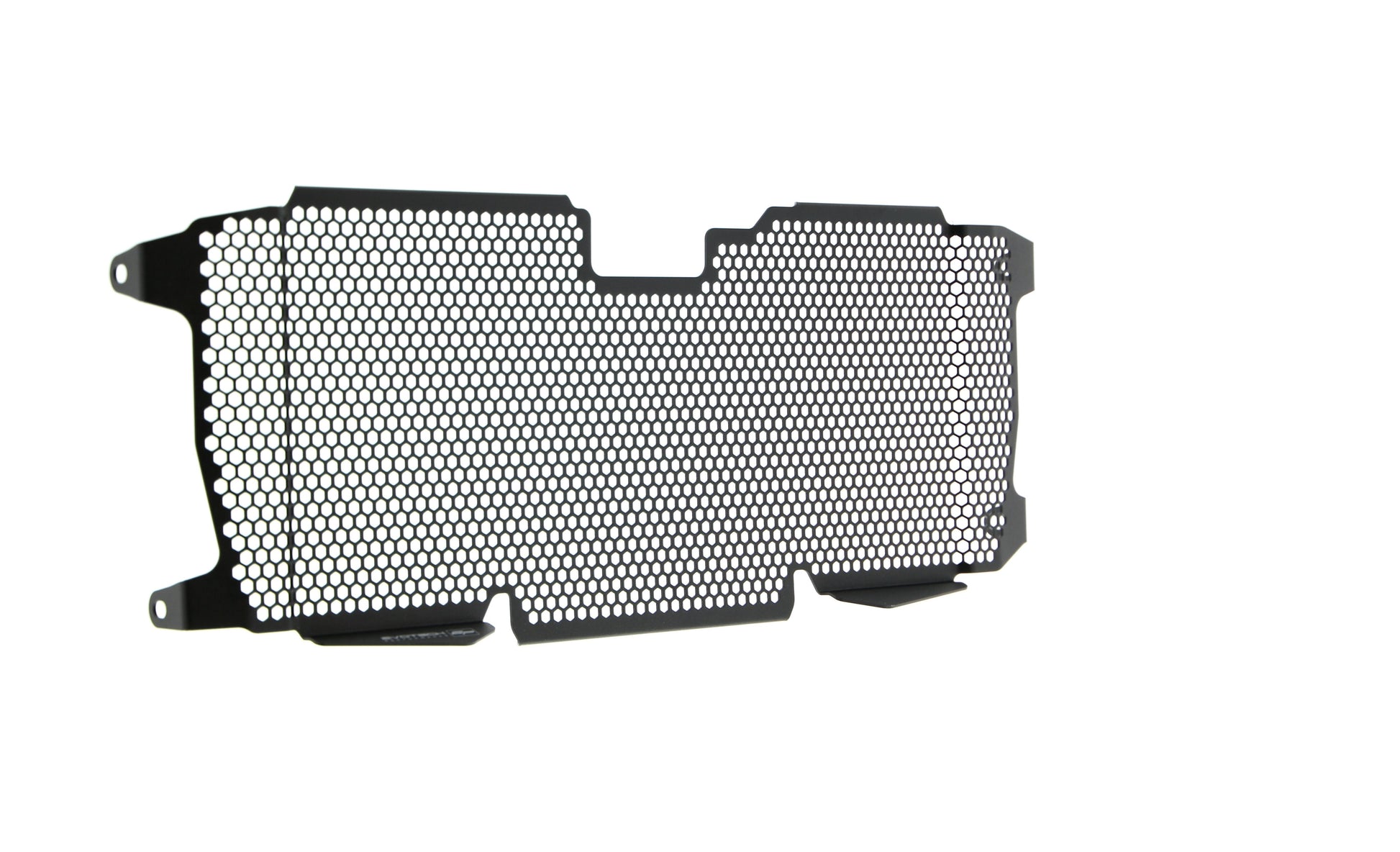 Evotech BMW R 1250 RS Radiatorcover (2019+)