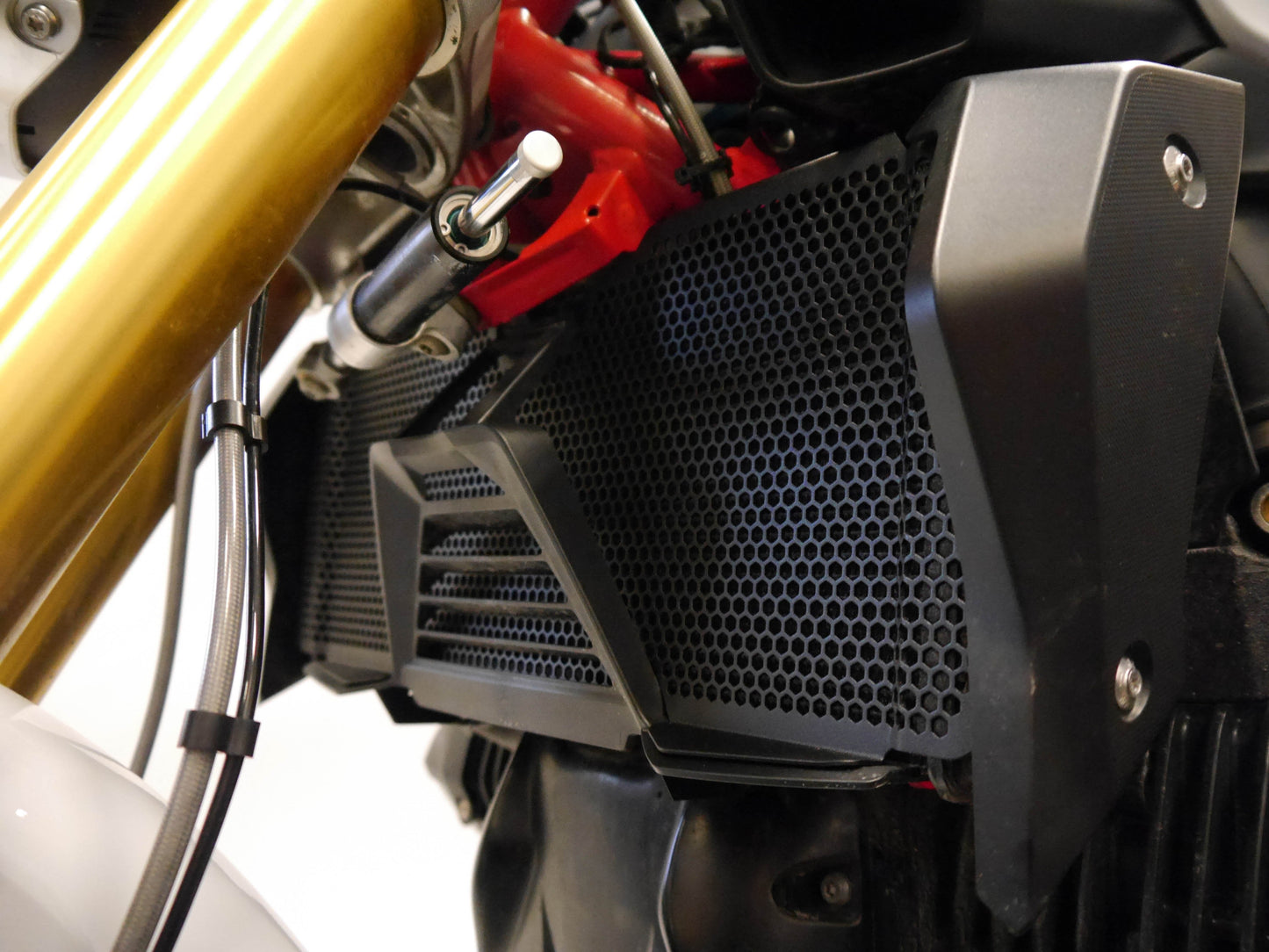 Evotech BMW R 1250 R Exclusive Radiator Guard 2019+