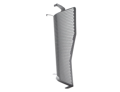 Evotech BMW S 1000 R Radiatorcover 2013 - 2016