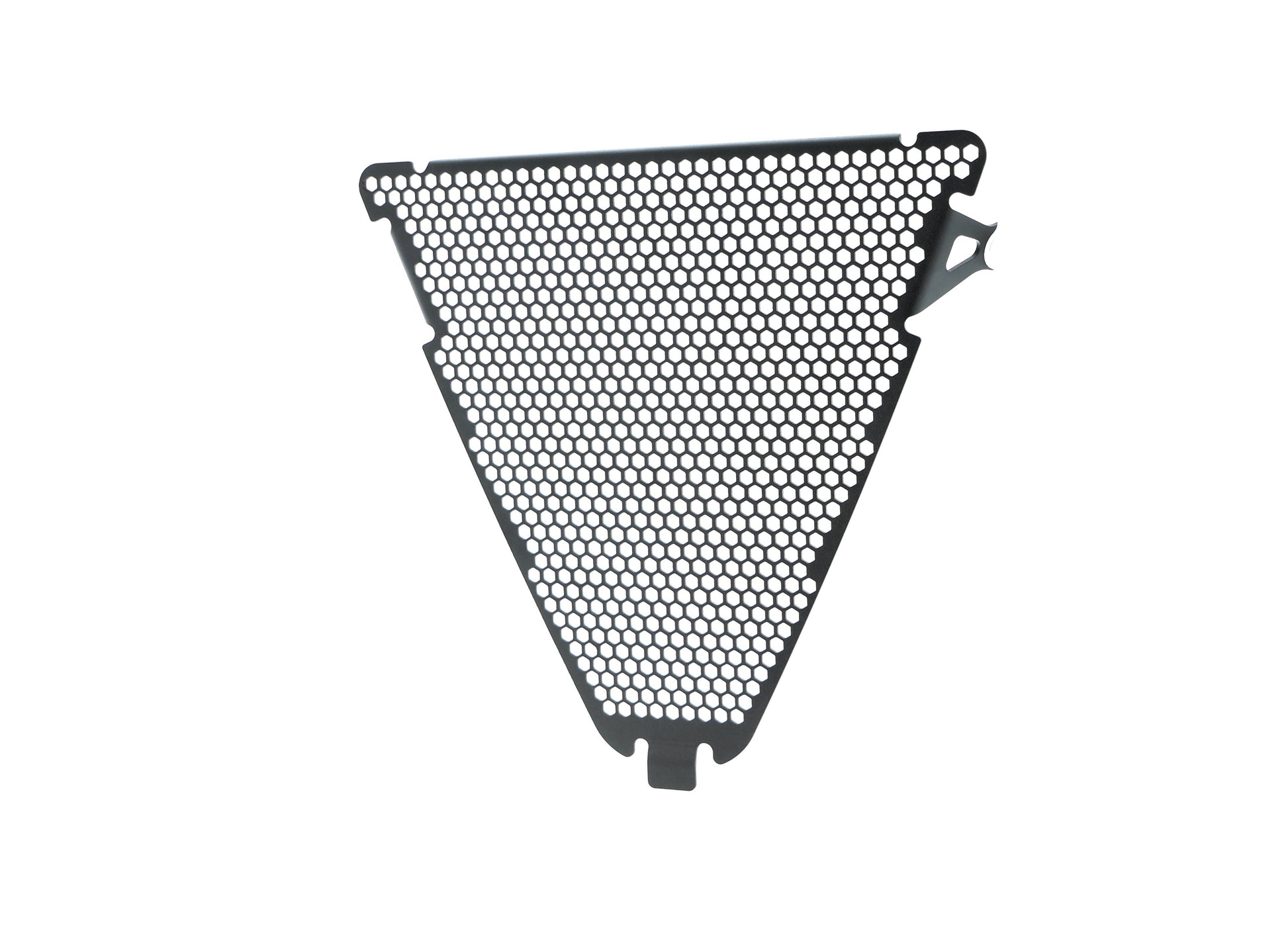 Evotech Ducati Panigale 1299 Superleggera Lower Radiatorcover (2017 - 2018)
