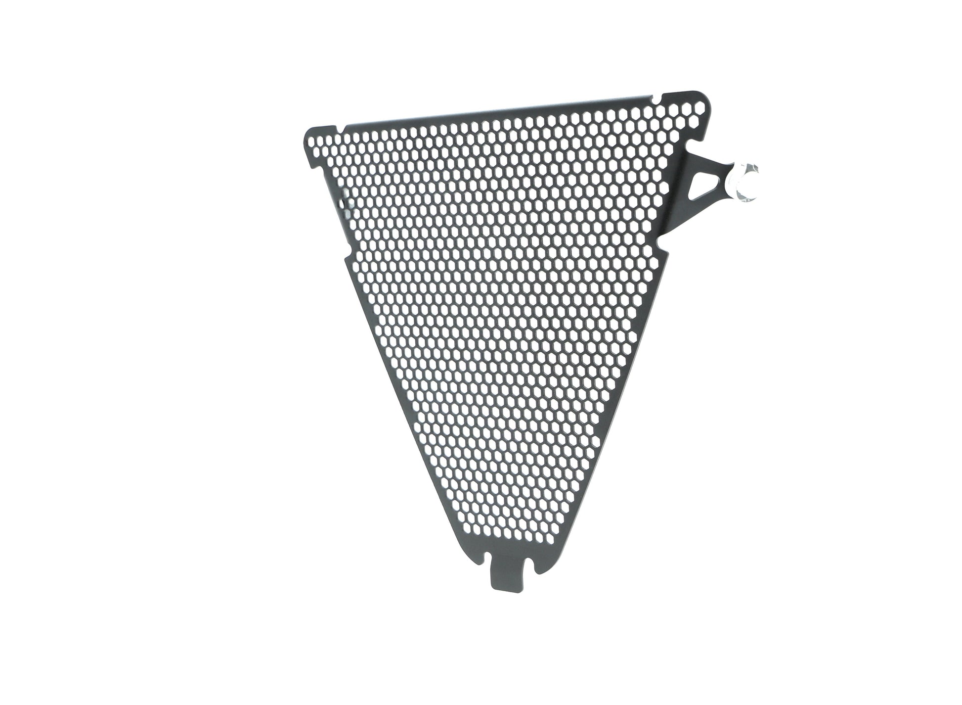 Evotech Ducati Panigale V2 Lower Radiatorcover (2020 - 2024)