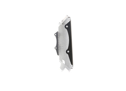 Evotech Kawasaki Z900RS Performance Radiatorcover (2018 - 2020) (Stainless Steel)
