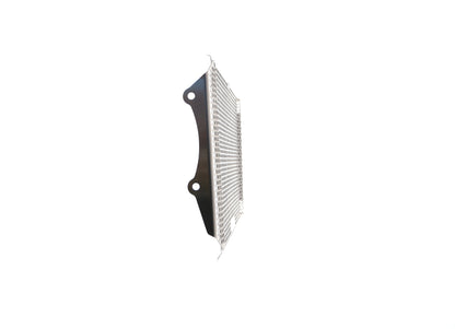 Evotech Kawasaki Z900RS Cafe Radiatorcover (2018-2020) (Stainless Steel)