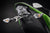 EVOTECH KAWASAKI Z900 SE TAIL TIDY (2022+)