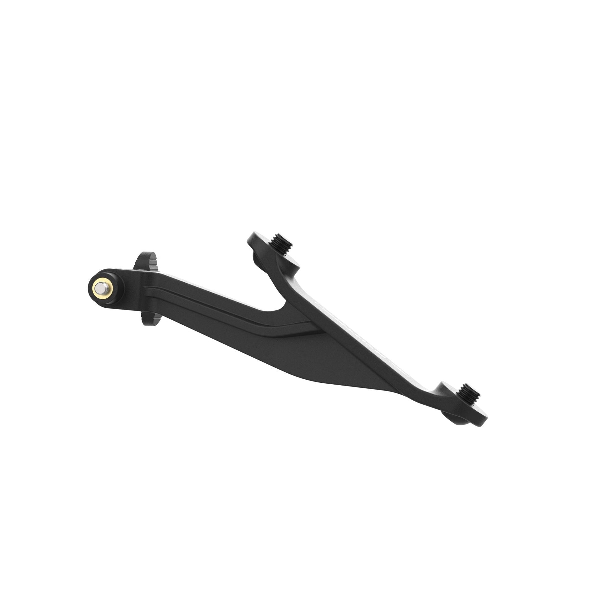 Evotech Footpeg Action Camera Montagesteun (achteruit gericht) - BMW S 1000 R (2021 - 2024) (Left-hand Side)