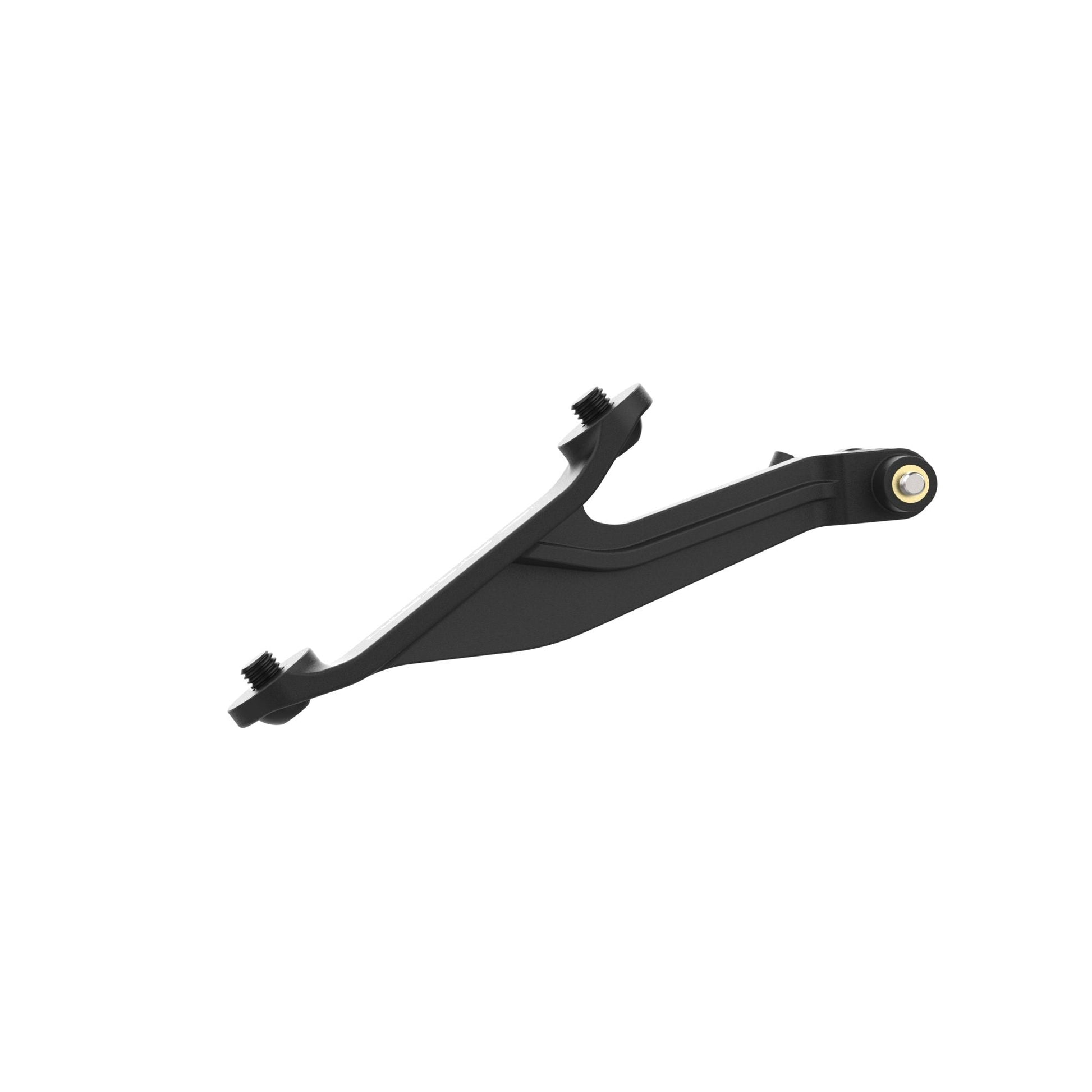 Evotech Footpeg Action Camera Montagesteun (achteruit gericht) - BMW S 1000 R (2021 - 2024) (Right-hand Side)