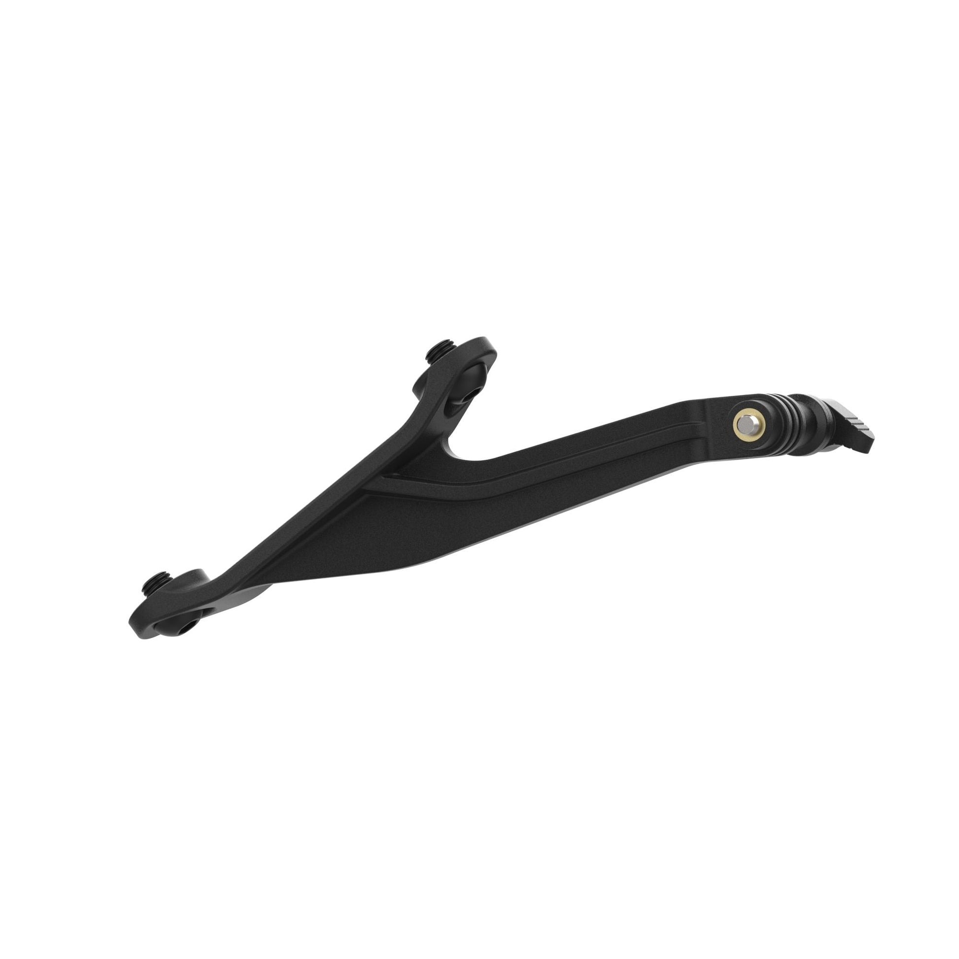 Evotech Footpeg Action Camera Montagesteun (achteruit gericht) - BMW S 1000 R (2021 - 2024) (Right-hand Side)