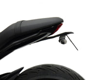 Kentekenplaathouder Evotech - Triumph Trident 660 (2026+)