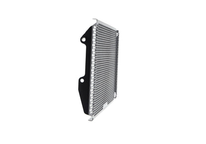 Evotech Yamaha FZ-09 Radiatorcover (2017-2020)