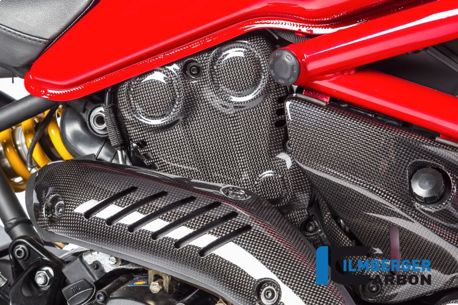 
                  
                    Exhaust Protection Manifold - Ducati Monster 1200 (2017-2021)
                  
                