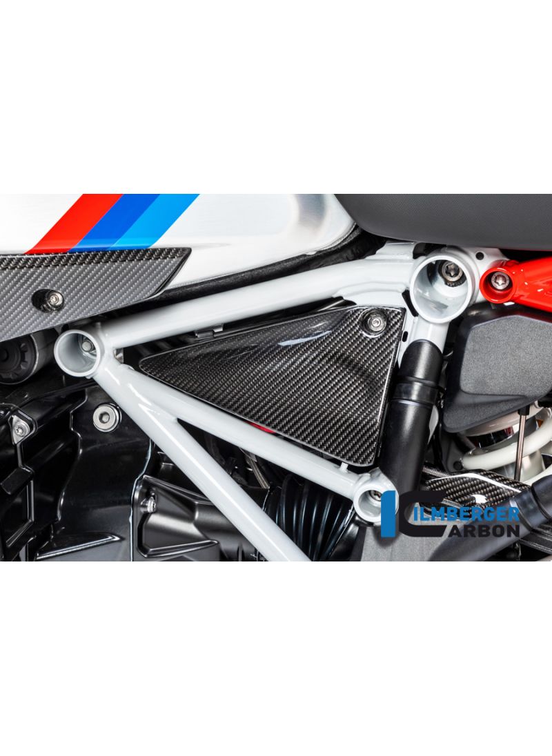 Frame Triangle Cover left Side BMW R1250R LC 2019+