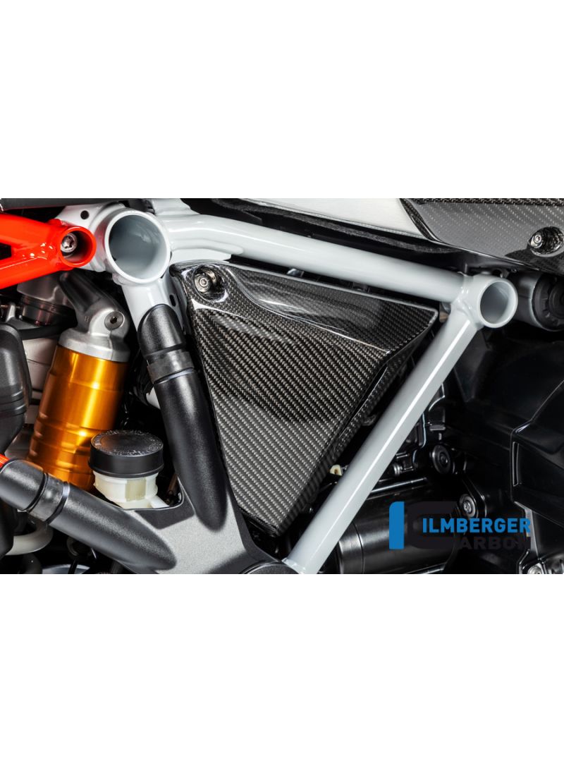 Frame Triangle Cover right Side BMW R1250R LC 2019+