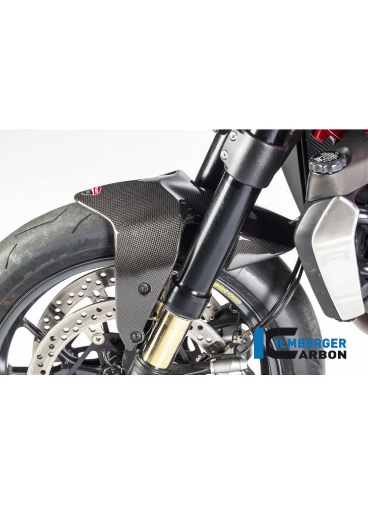 Front Mudguard - Ducati Monster 1200 2017+