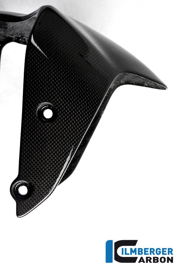 
                  
                    Front Mudguard - Ducati Monster 1200 2017+ Ducati Monster 1200 (2017-2021)
                  
                