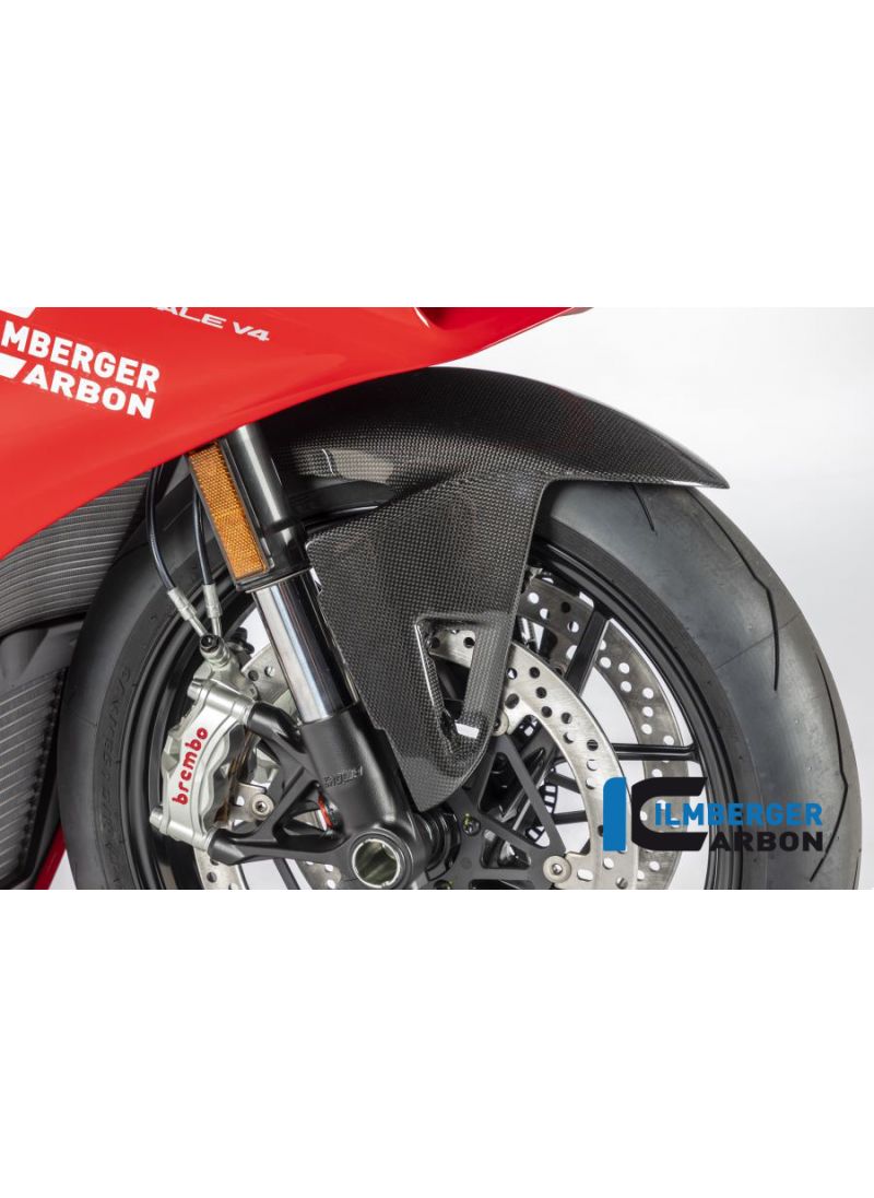 Front Mudguard gloss Panigale V4R