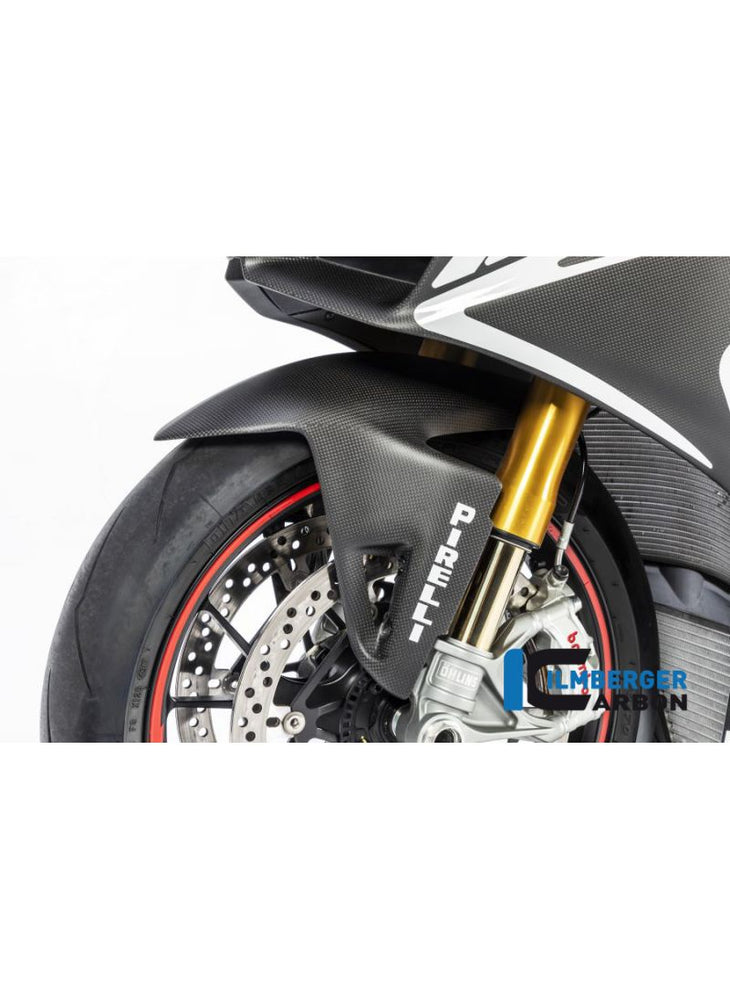 Front Mudguard matt Panigale V4R