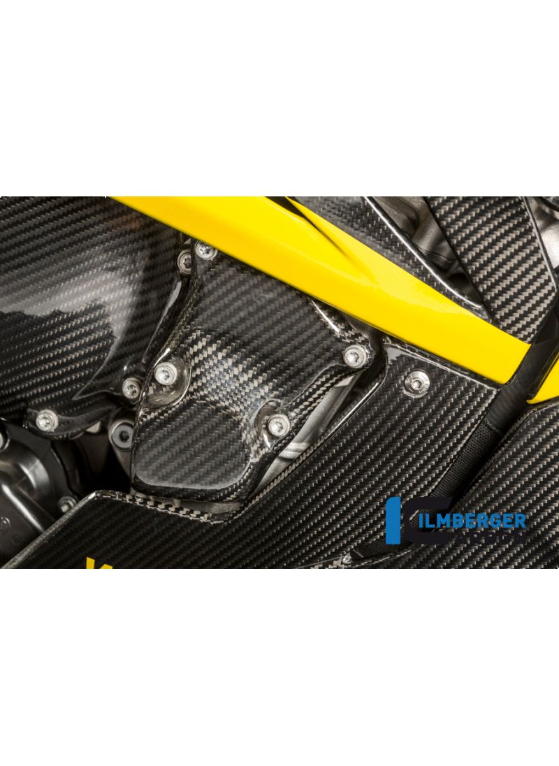 Ignition Rotor Cover Carbon - BMW S1000RR Stocksport/Racing 2015-2016