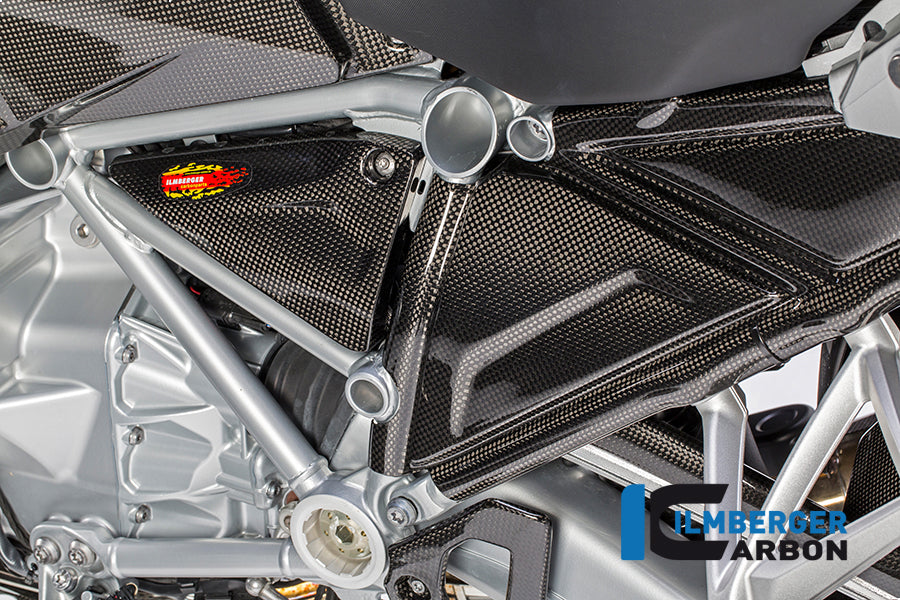 Zijpaneel frame links carbon BMW R 1200 GS LC (2017-2018)
