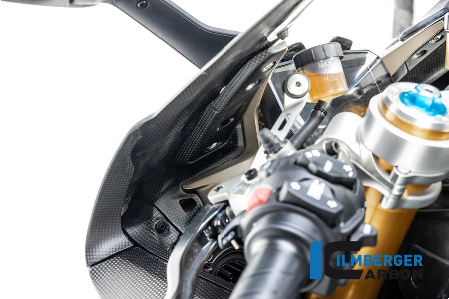 
                  
                    Instrumentenabdeckung Matt Ducati Panigale V4S Corse (2019-2020)
                  
                