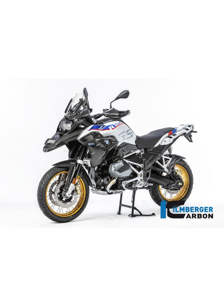 Bevel Drive Housing Protector (Mounting without Rear Splash Guard) Carbon BMW R1250GS 2019+