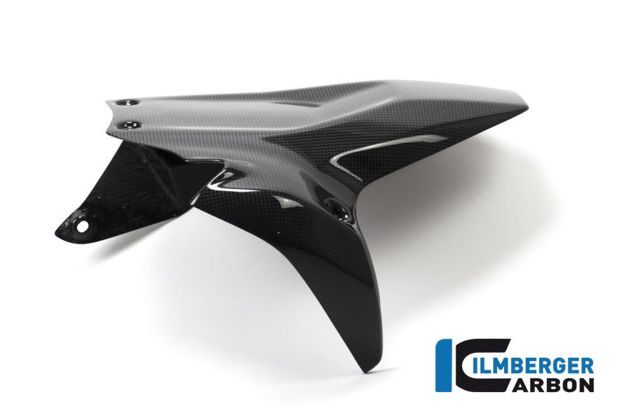 Rear Fender Glossy Carbon Ducati Panigale V2 (2020-2024)