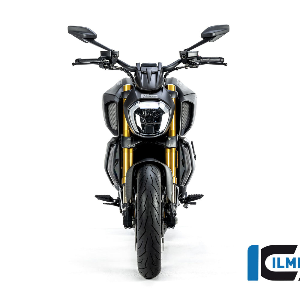 
                  
                    Bakre Hugger Matt Ducati Diavel 1260S (2019-2022)
                  
                