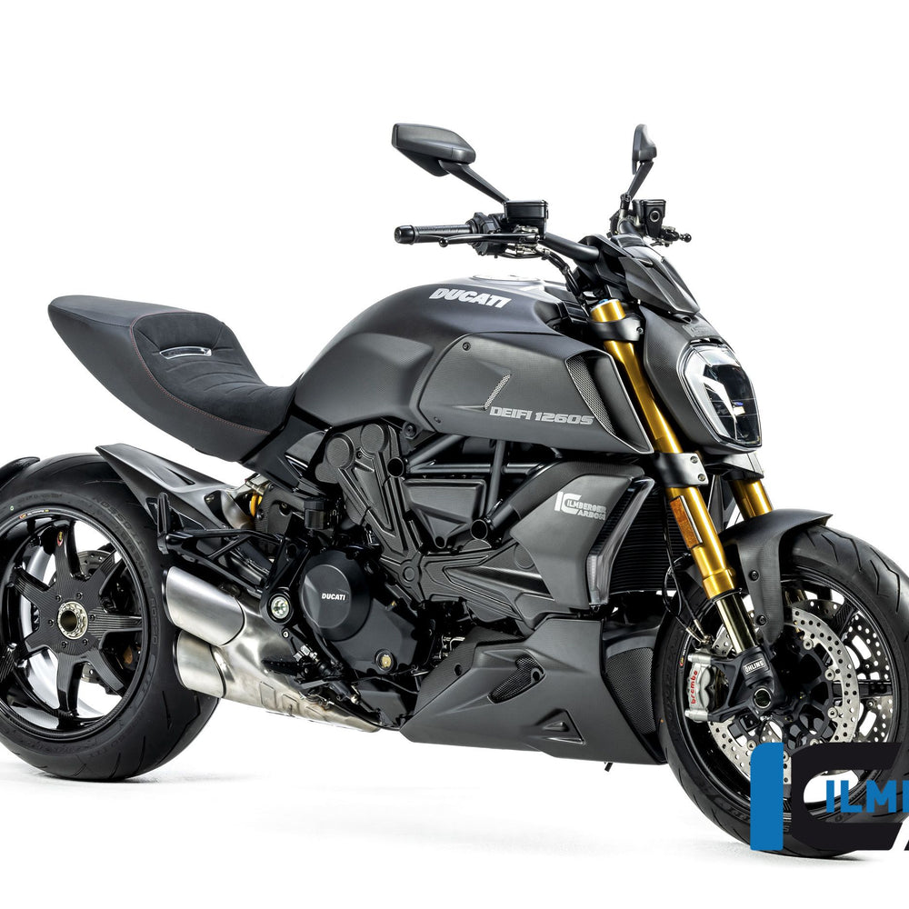 
                  
                    Bakre Hugger Matt Ducati Diavel 1260S (2019-2022)
                  
                