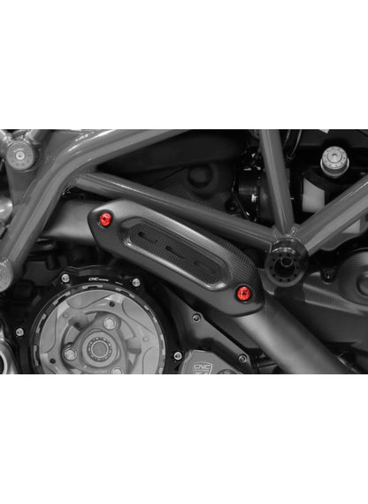 Homologated LighTech License Plate Holder – Innovation Meets Elegance - Ducati Hypermotard 950 2019-2025