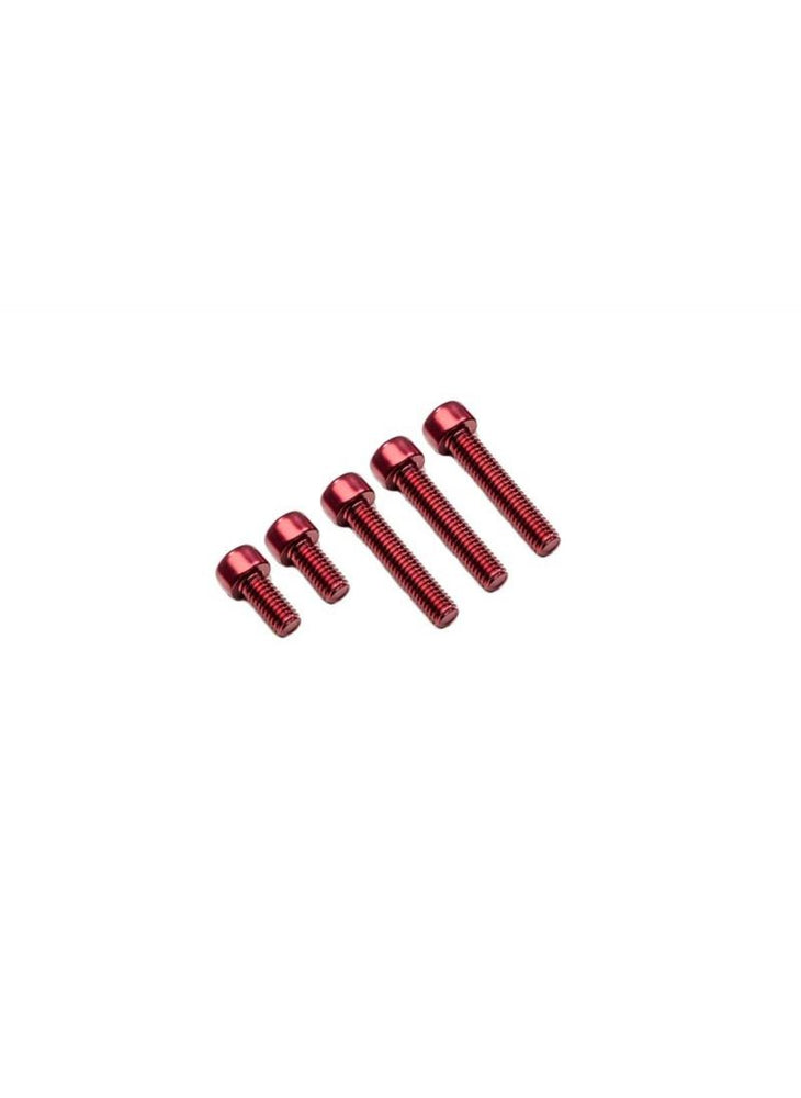 Fuel Tank Cap Bolts (5 pcs.) Ducati