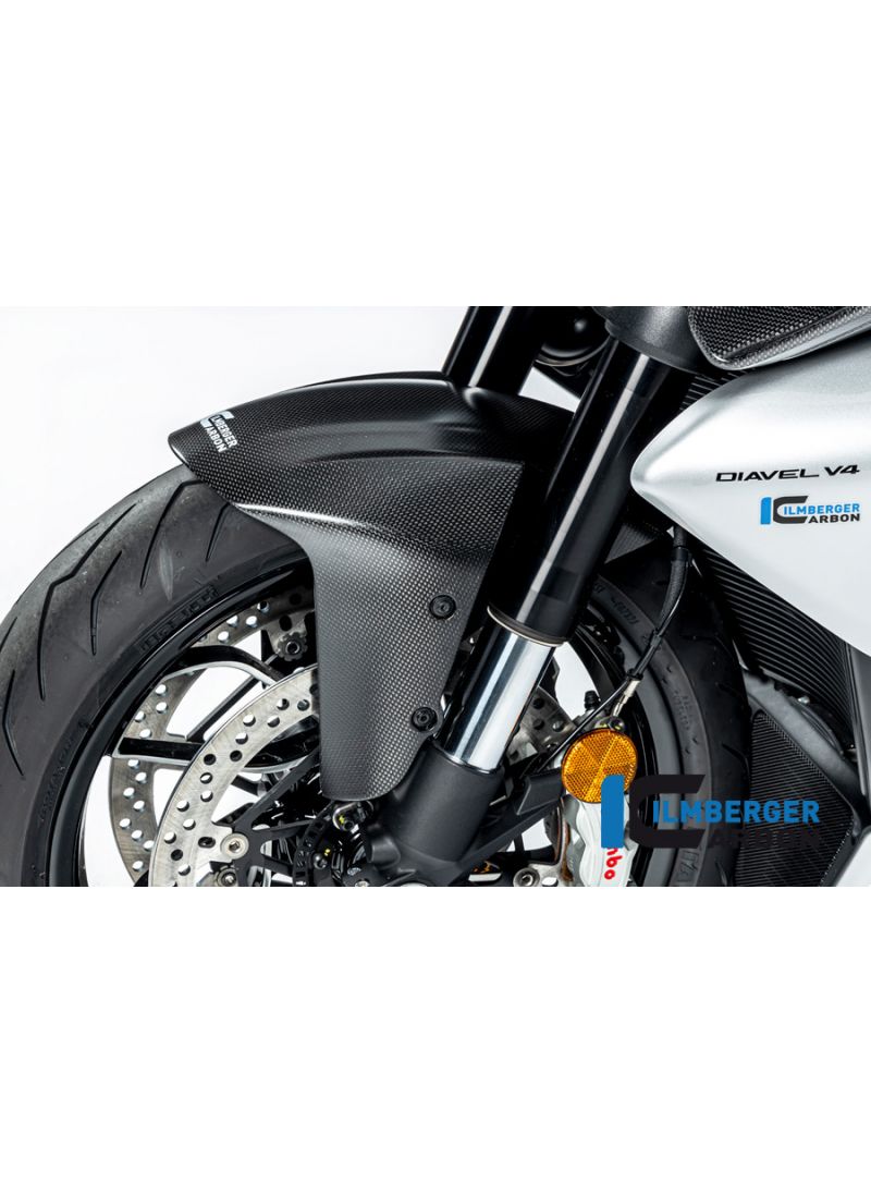 Front fender Matt Carbon Diavel V4 2023+