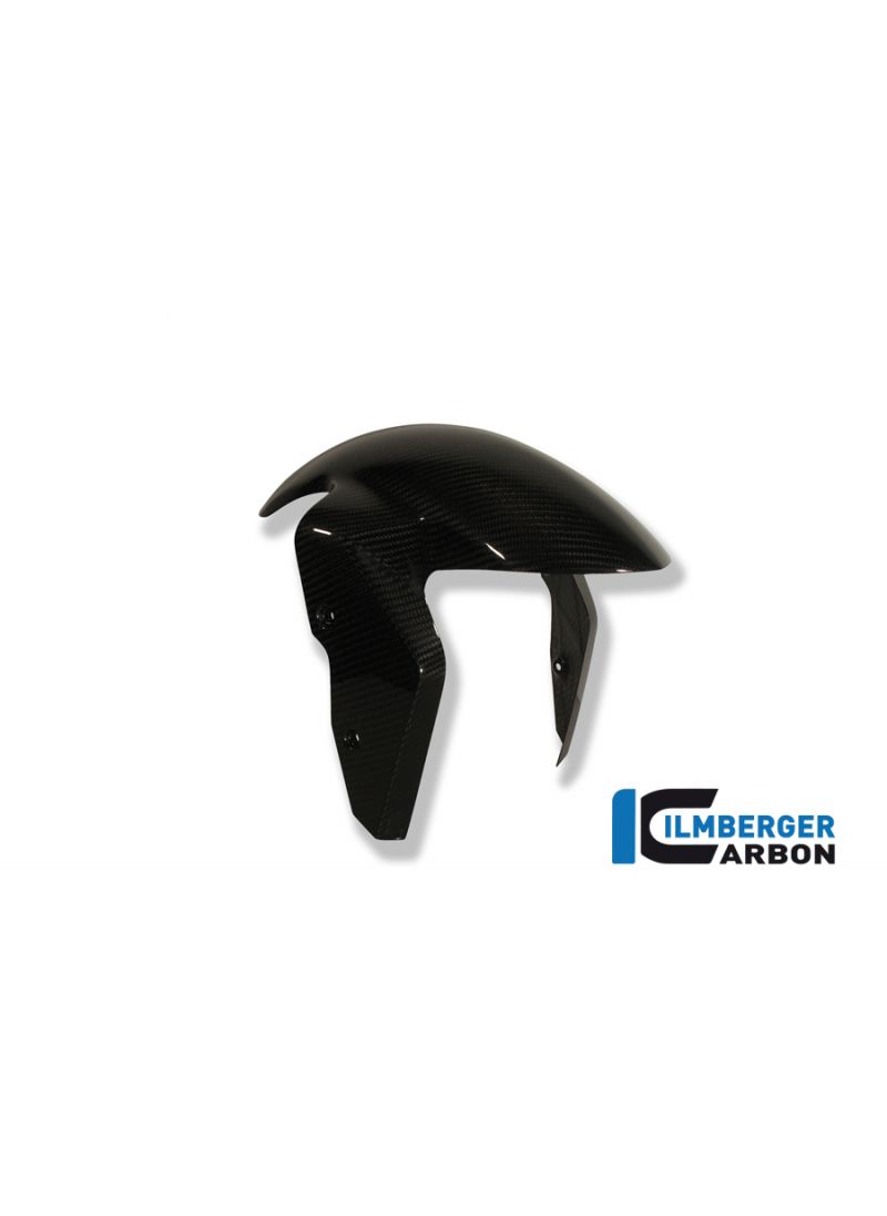 Carbon front fender BMW F900R 2019+