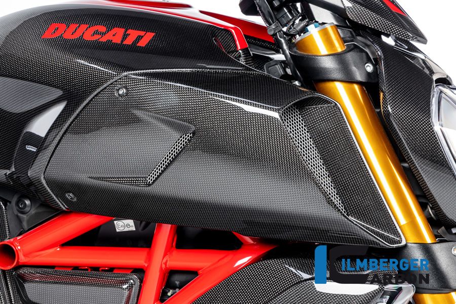 
                  
                    AirTube Cover Höger Side Gloss Ducati Diavel 1260 Carbon (2011-2018)
                  
                