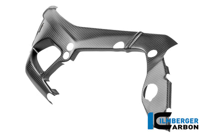Frame beschermer (links) mat carbon - BMW M 1000 RR Street (2025+)