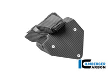 Kentekenplaathouder mat carbon BMW M 1000 R (2025+)