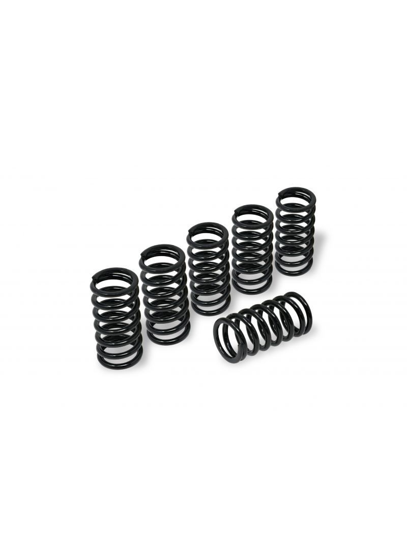 Clutch Spring Kit H45 for BMW S1000RR