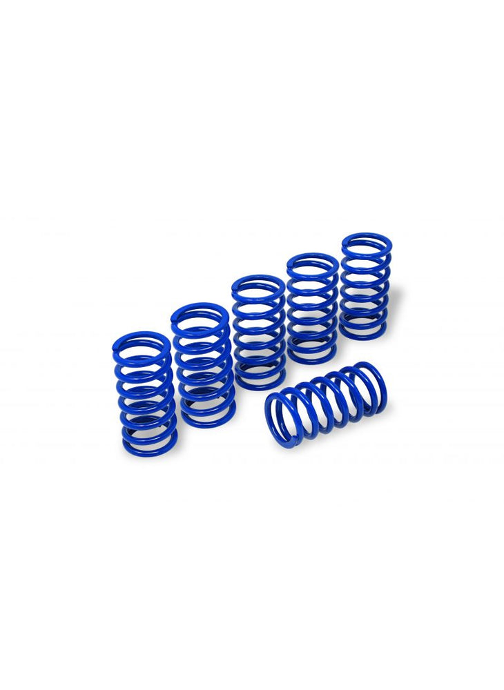 
                  
                    Clutch Spring Kit H45 for BMW S1000RR
                  
                