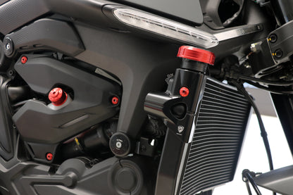 Side Radiator beschermer Ducati Monster 950 (2021-2025)