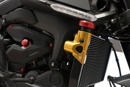 Side Radiator beschermer Ducati Monster 950 (2021-2025)