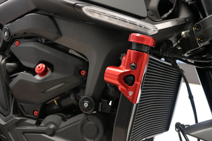 Side Radiator beschermer Ducati Monster 950 (2021-2025)