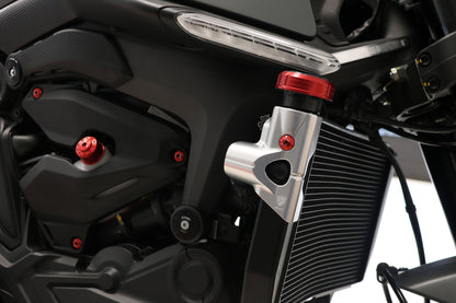 Side Radiator beschermer Ducati Monster 950 (2021-2025)
